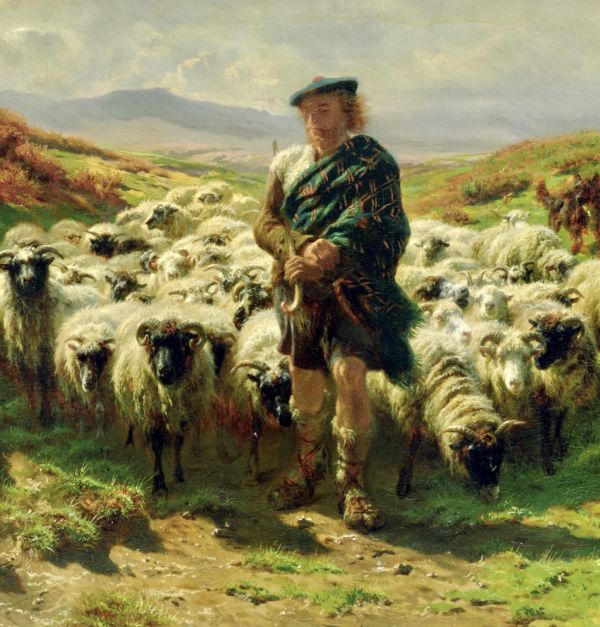 Francesco pastore, umile e premuroso