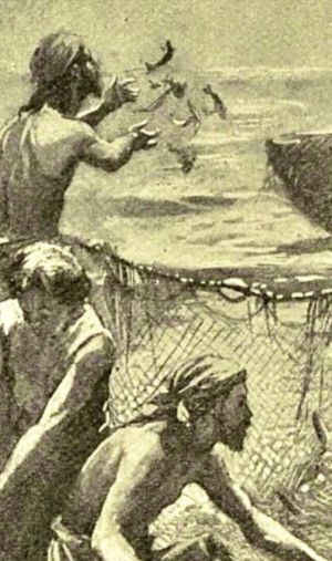 The Net, the Beautiful, and the rotten