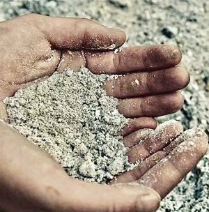 Sia di esempio la Carità 