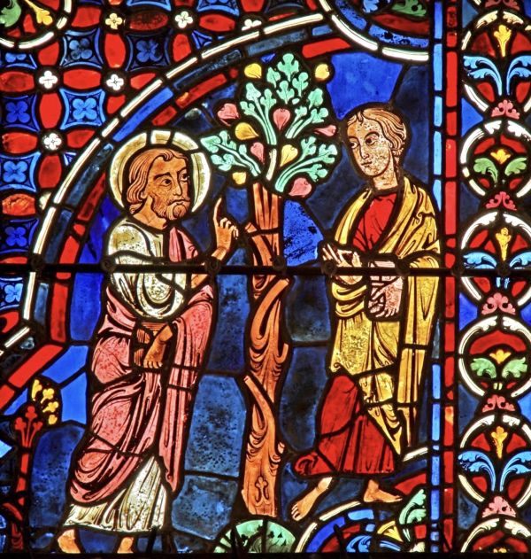 Changing lives, becoming Heralds. Nathanael and Francis