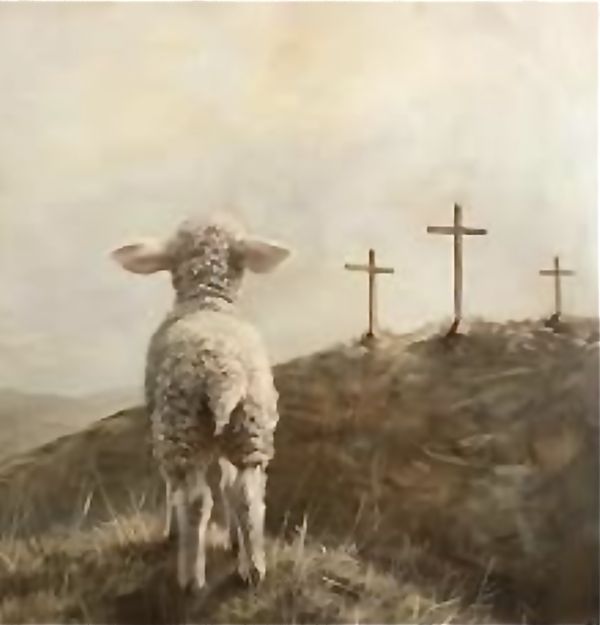 Compassion for our fellow human beings
