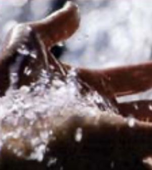 The Father will give Holy Spirit, not flies