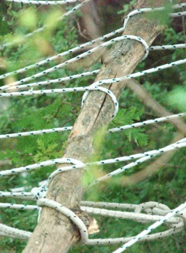 23a Domenica T.O. (C)