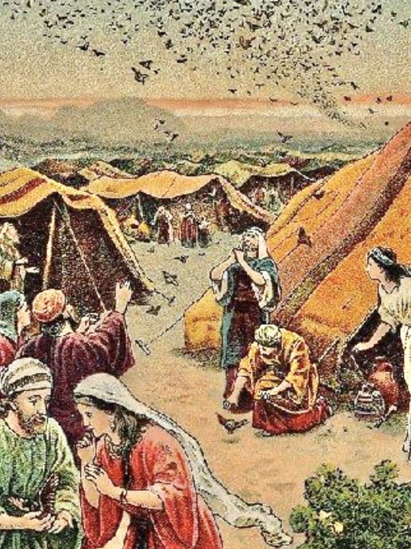 14th Sunday in O.T. (year C)