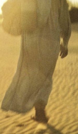 Different Purity, antidote to emptiness