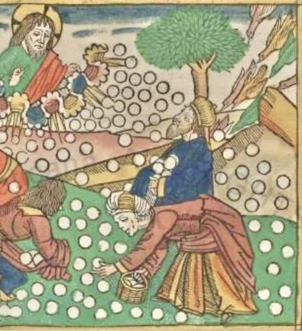 Not manna from the desert, but the Bread of eternal life.