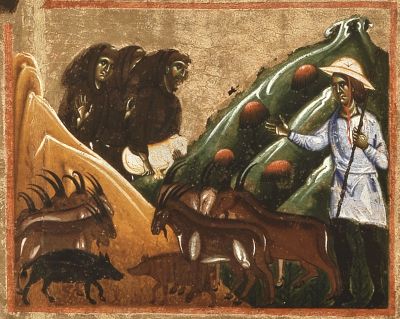 The Lamb and the lambs