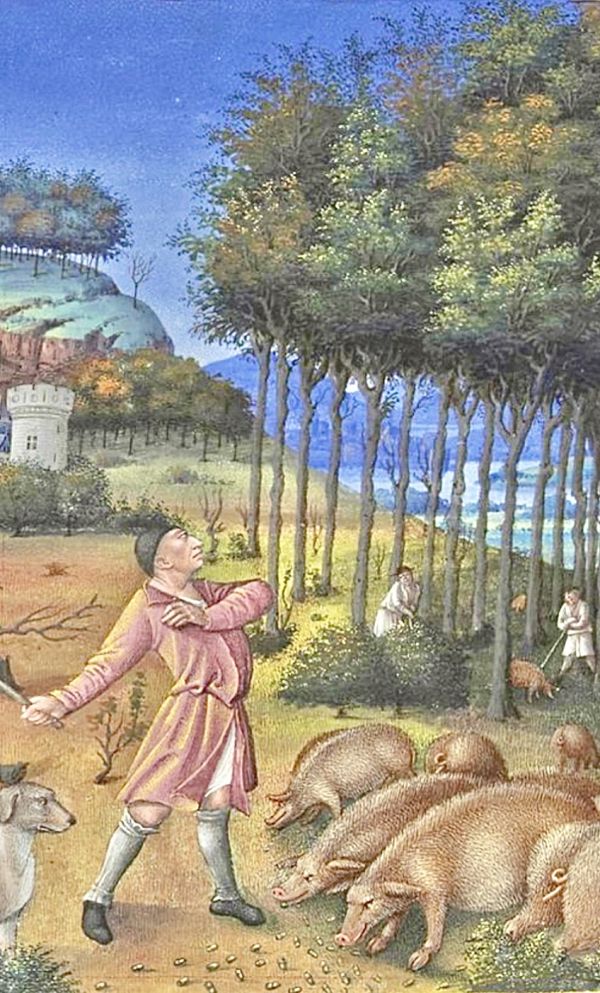 Gesù e i suoi discepoli giunsero all’altra riva