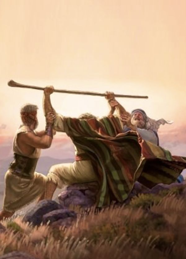 29a Domenica T.O. (anno C)