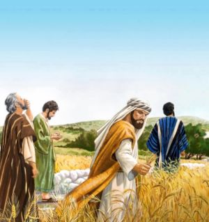 Human being is important, more than codes