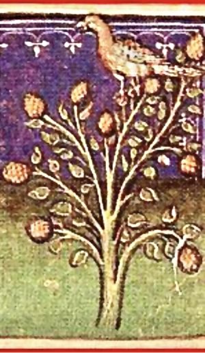 Ritmo di Natura. Il fattore evolutivo