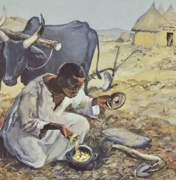 Tesoro Povertà