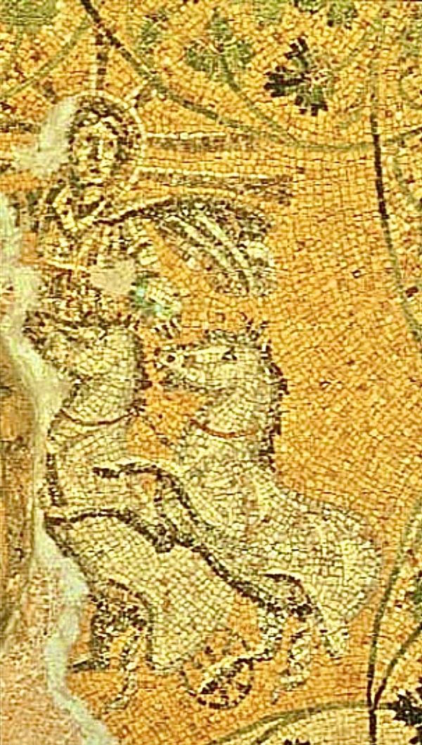 Salt and Light in Vocation