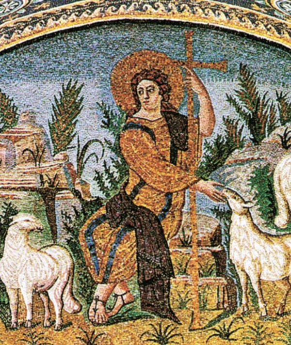 Shepherd who follows and is followed