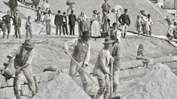 Salt and Light: Beautiful Works. Vocation and salt gone mad