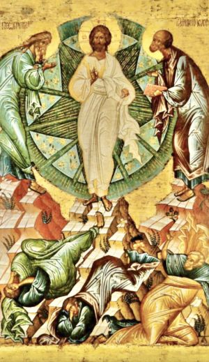 Against the tide Transfiguration: Faith and Metamorphosis