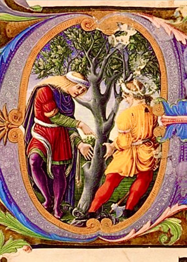 The fourth year’s Faith