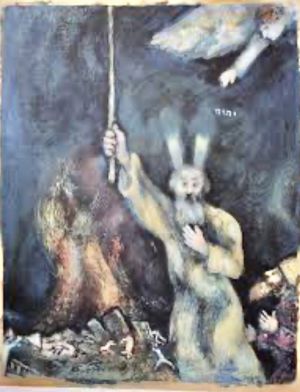 17th Sunday in O.T. (year C)