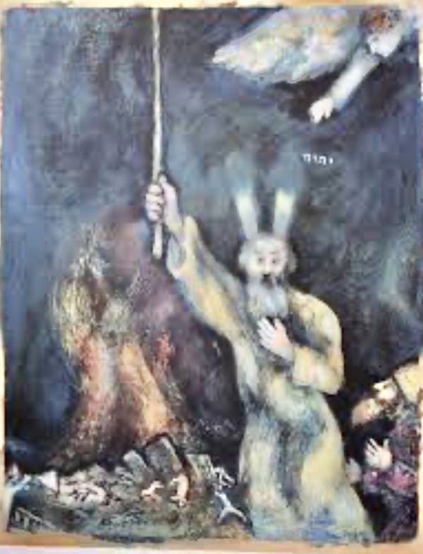 17th Sunday in O.T. (year C)