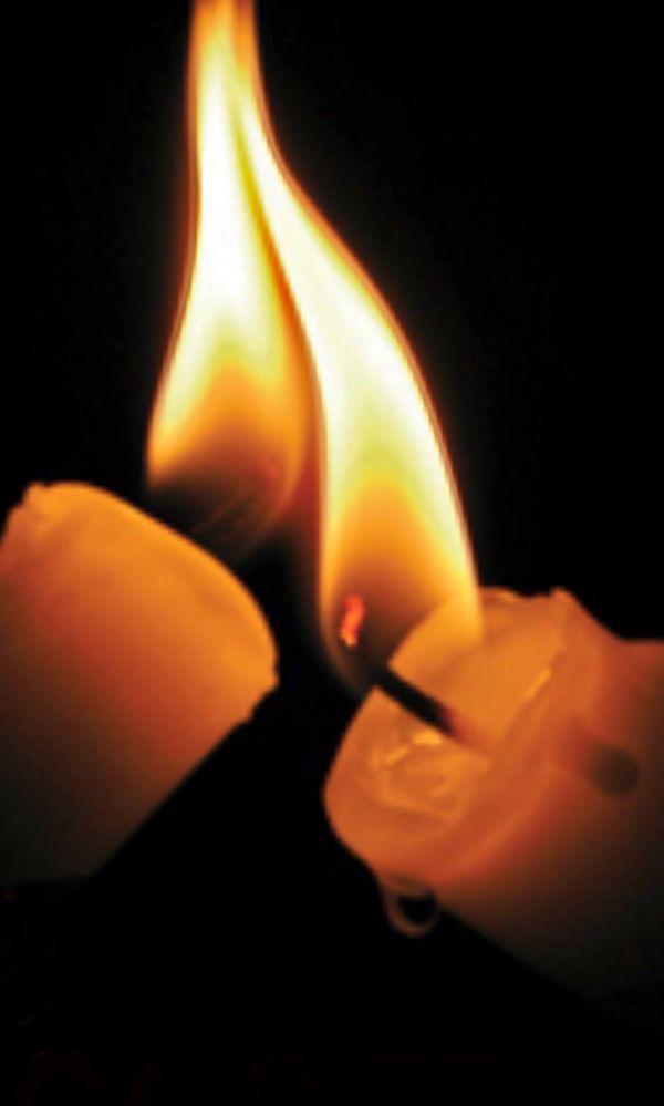Salt and Light in Vocation