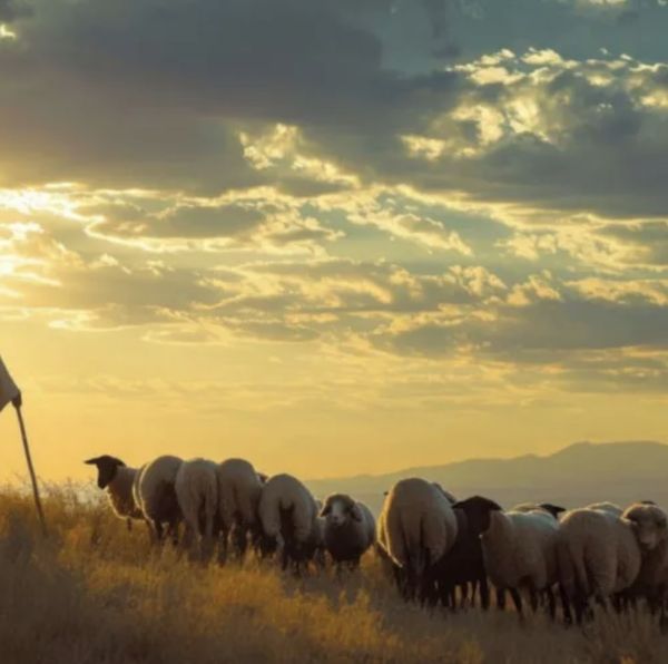 Duty to serve in humility