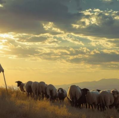 Duty to serve in humility