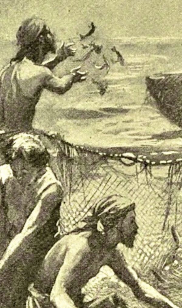 La Rete, il Bello, e il marcio