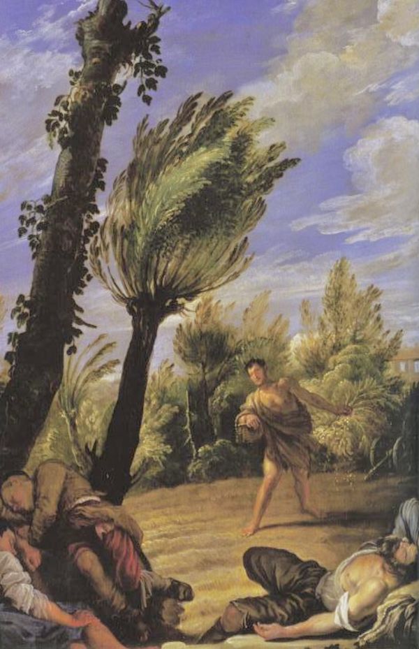 Zizzanie e possibilità: il senso del Mistero felice - dalle mancanze
