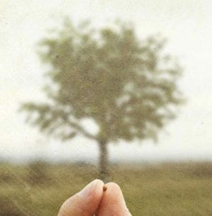 Mustard seeds and exponential growth