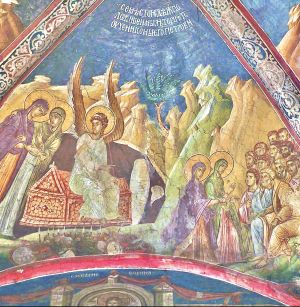 Joy of the Announcement