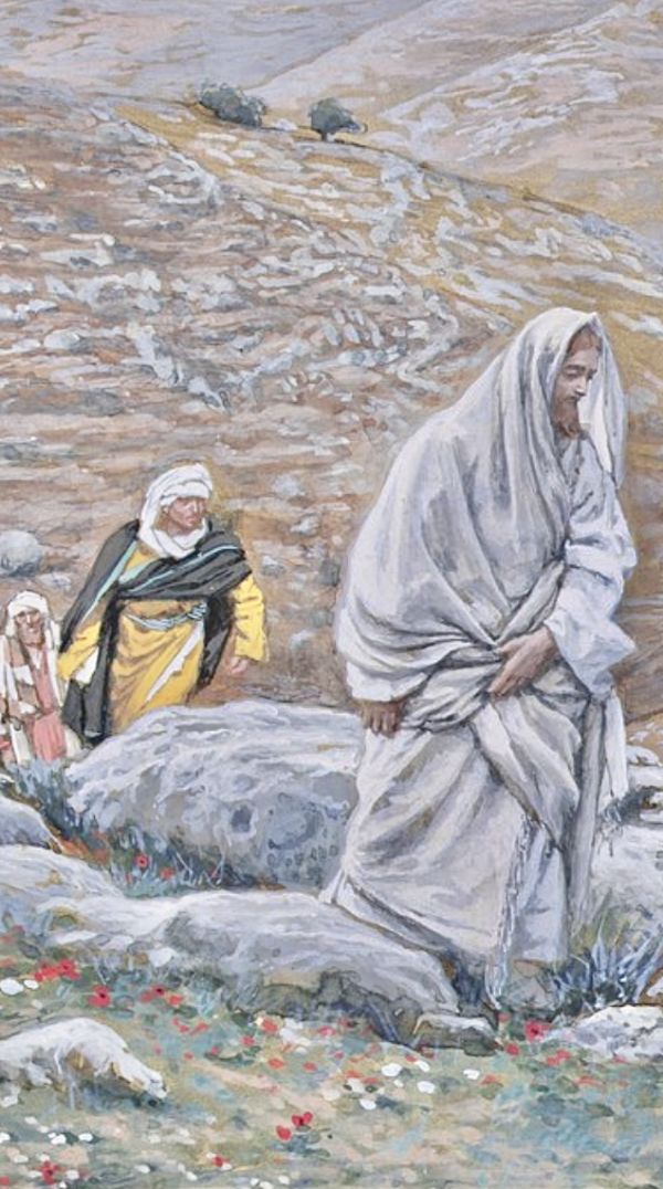 Nostalgie e Desiderio: convulsioni a muso duro