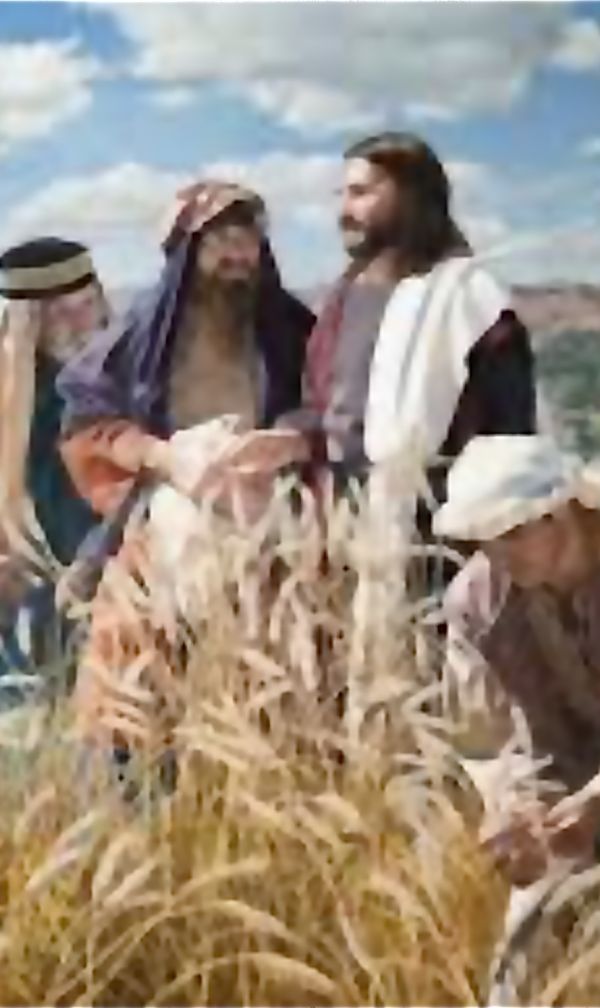 Conflitti di coscienza: Legge o fame