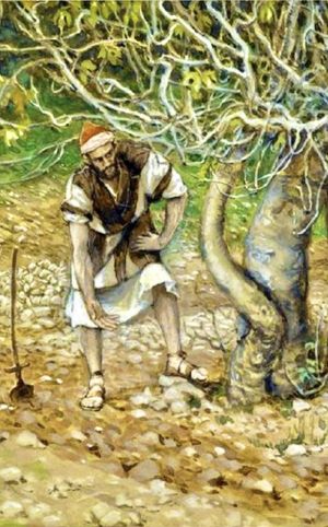 Fourth year’s Faith